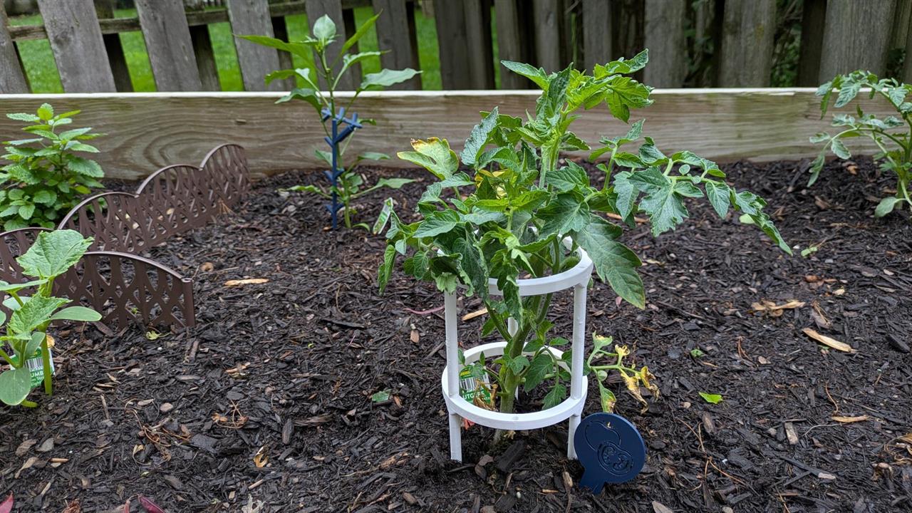 a garden featruing 3D printed plant supports
